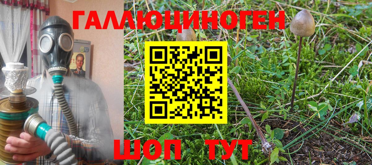 Псилоцибиновые грибы мухоморы  Вход с VPN  Советская Гавань 